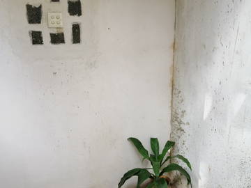 Chambre Chez L'habitant Ragama 264209-18