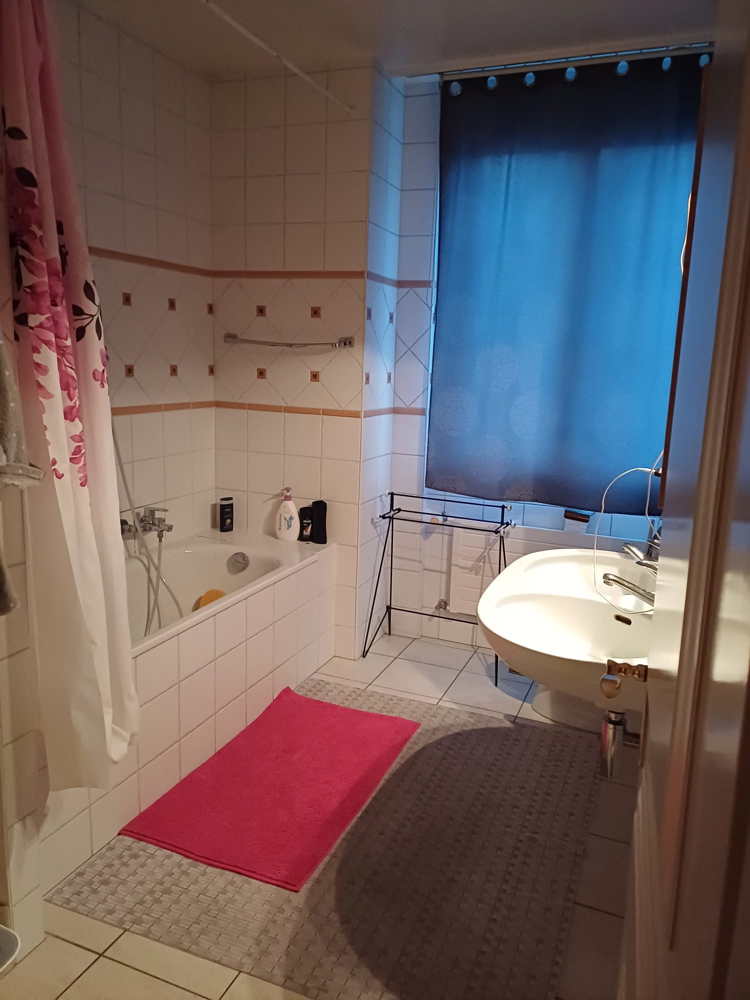 Homestay Corsier-sur-Vevey 500829