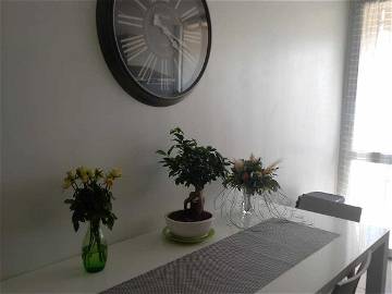 Room For Rent Avignon 259764