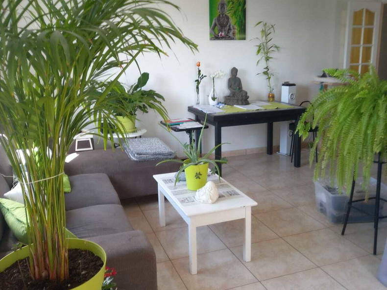 Logement Entier Avignon 259764-1