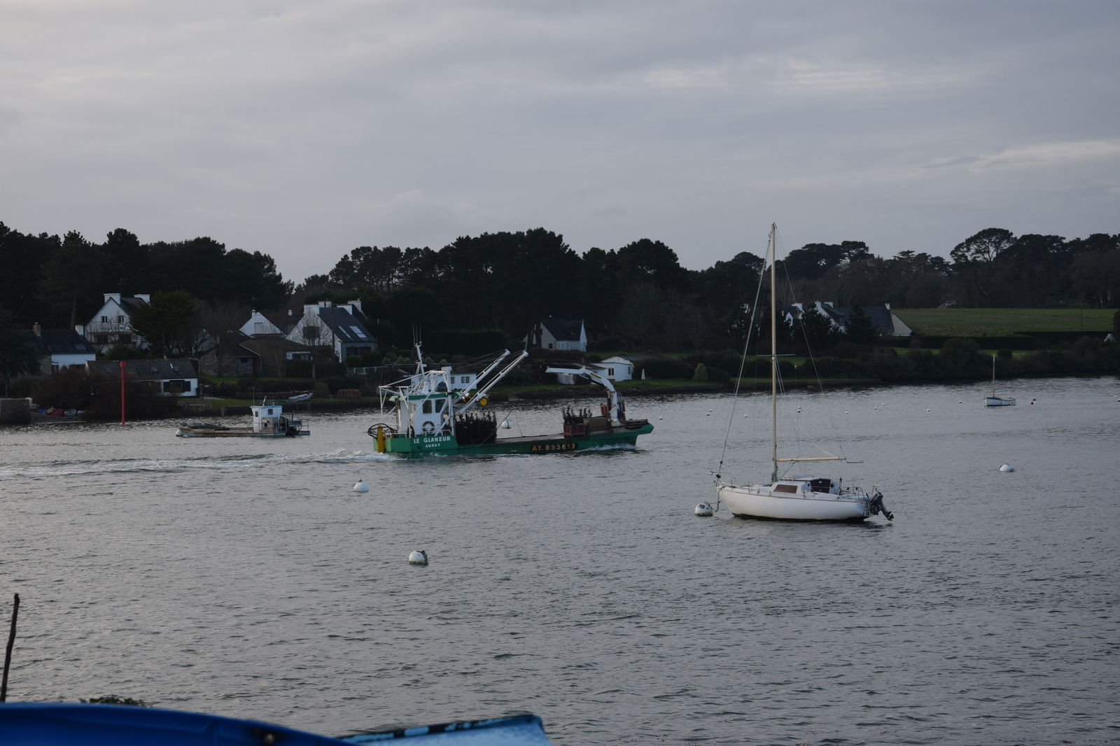 Homestay Baden 224181