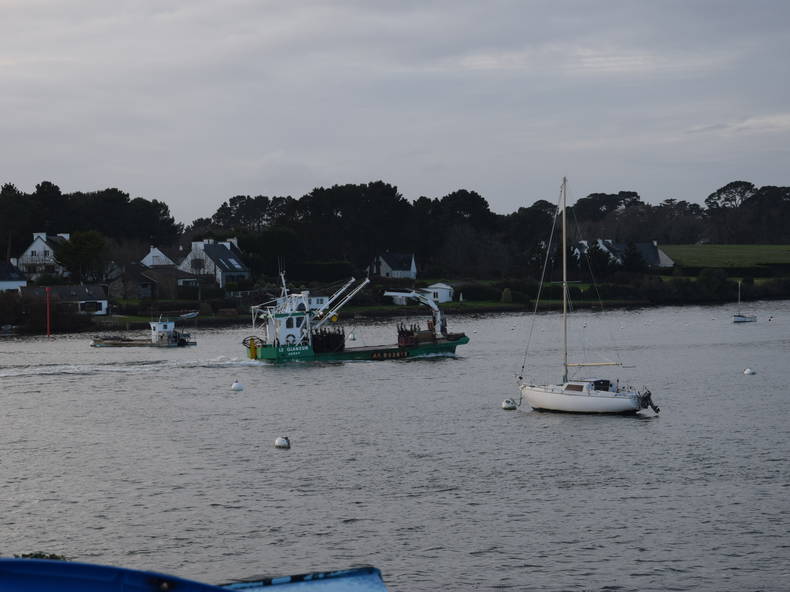 Gastfamilie Baden 224181-2