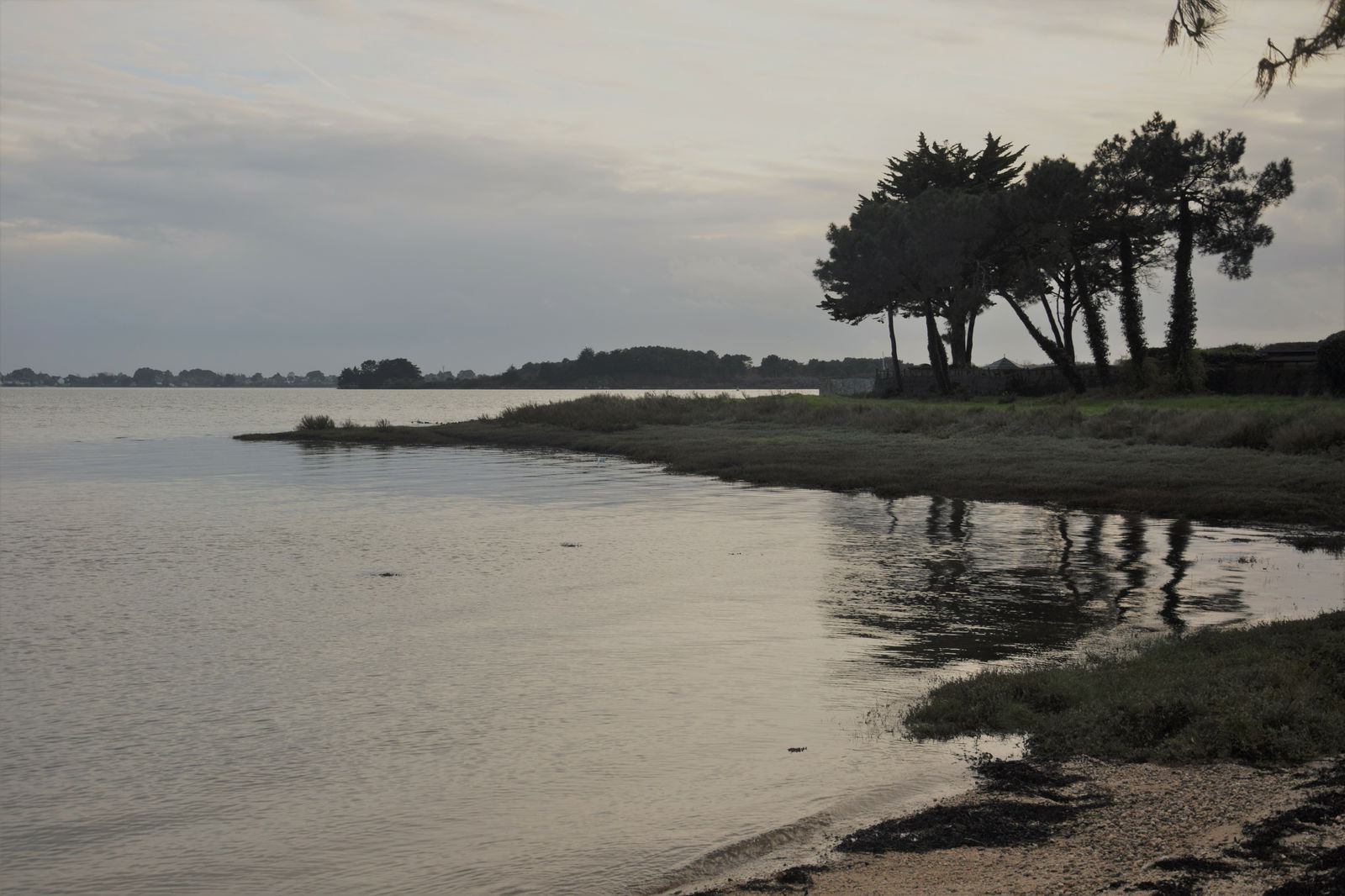 Homestay Baden 224181