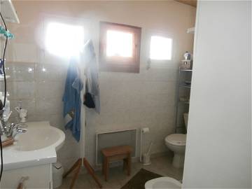 Chambre À Louer Villemoustaussou 210888