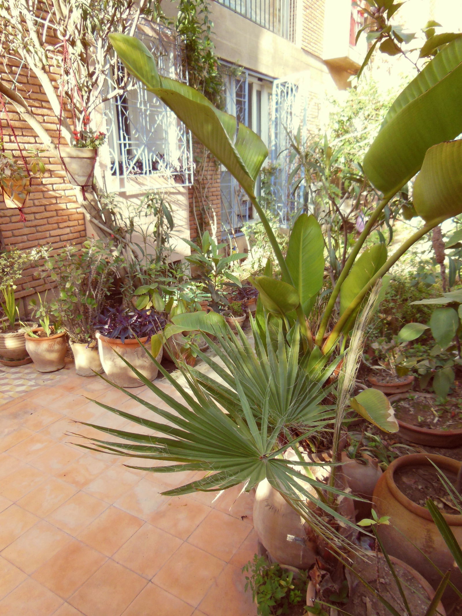 Bed And Breakfast Marrakech 72234