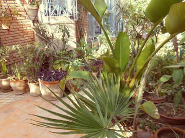 Chambre D'hôte Marrakech 72234-11
