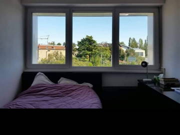 Colocation Annemasse 259078-6