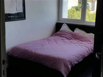 Colocation Annemasse 400785-5