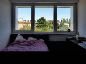 Colocation Annemasse 400785-6