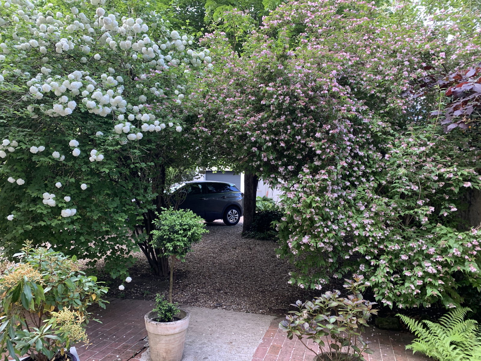 Homestay Mantes-la-Jolie 241610