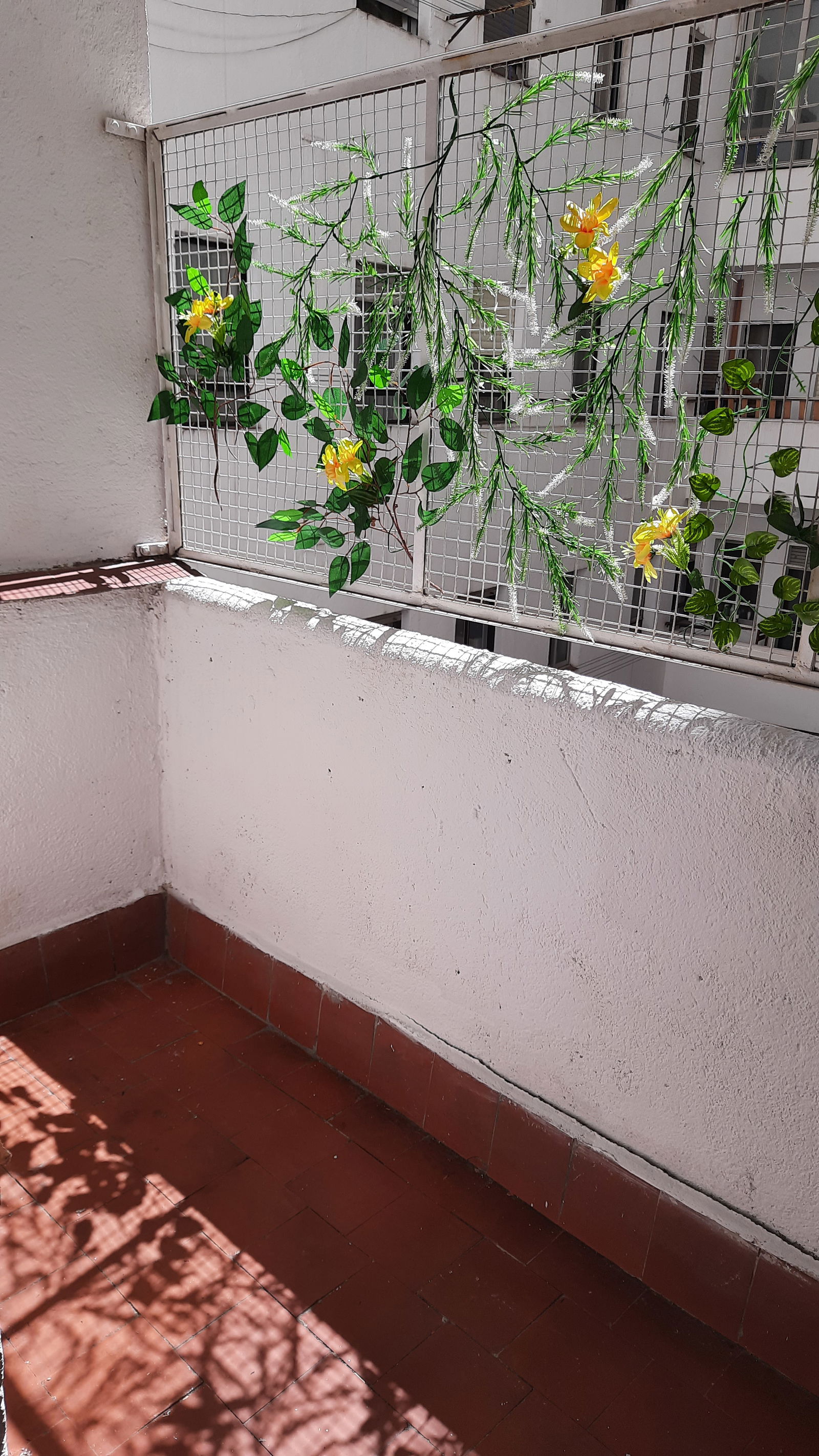 Colocation Salamanca 312862