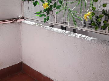 Colocation Salamanca 312862-12