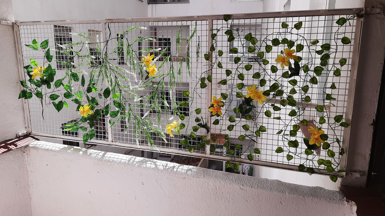 Colocation Salamanca 312862