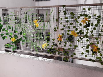 Colocation Salamanca 312862-13