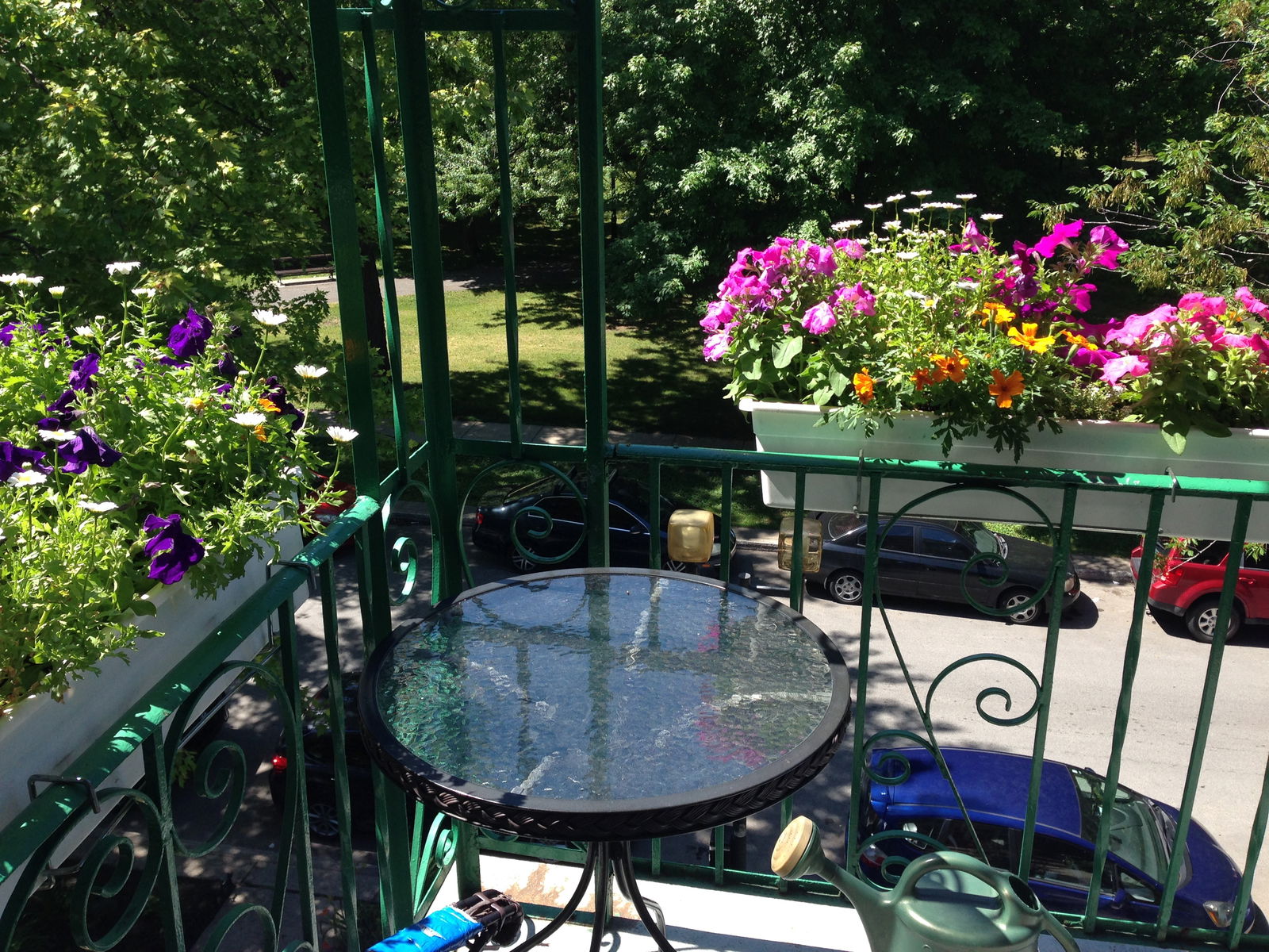 Homestay Montréal 214446