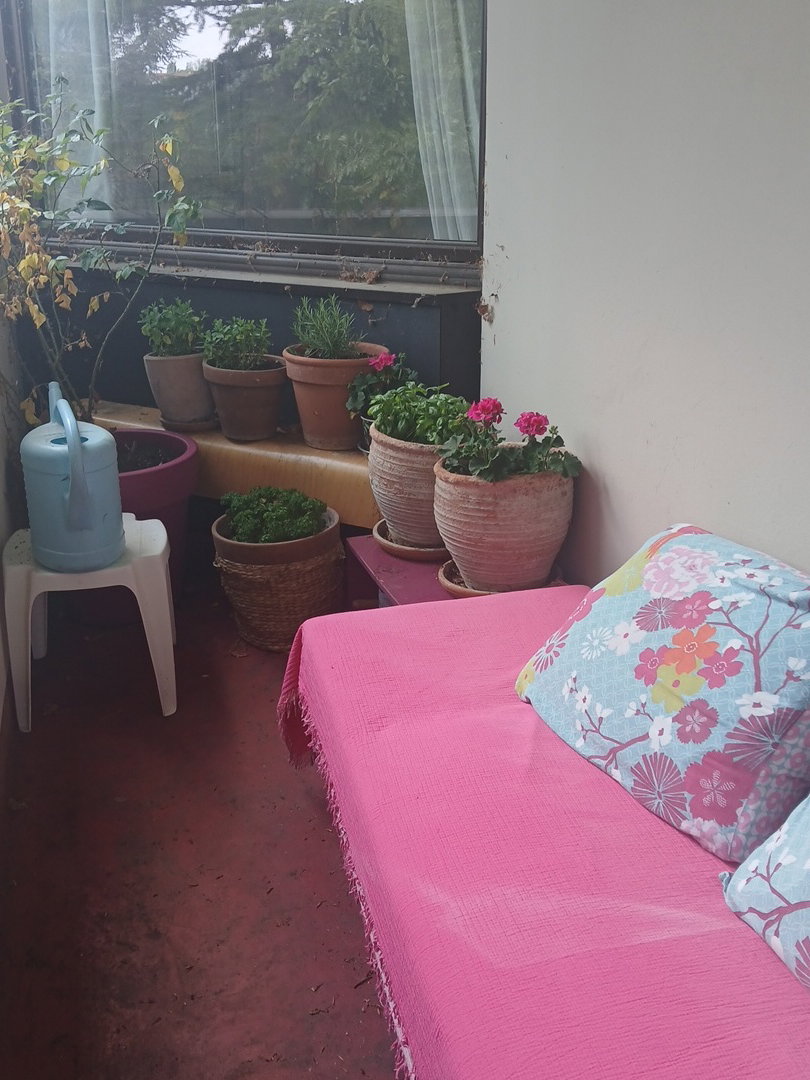 Homestay Saint-Germain-en-Laye 242074