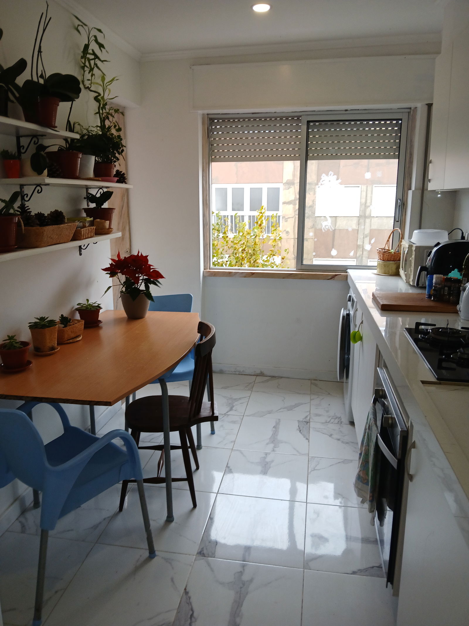 Homestay Pinhal Novo 455879