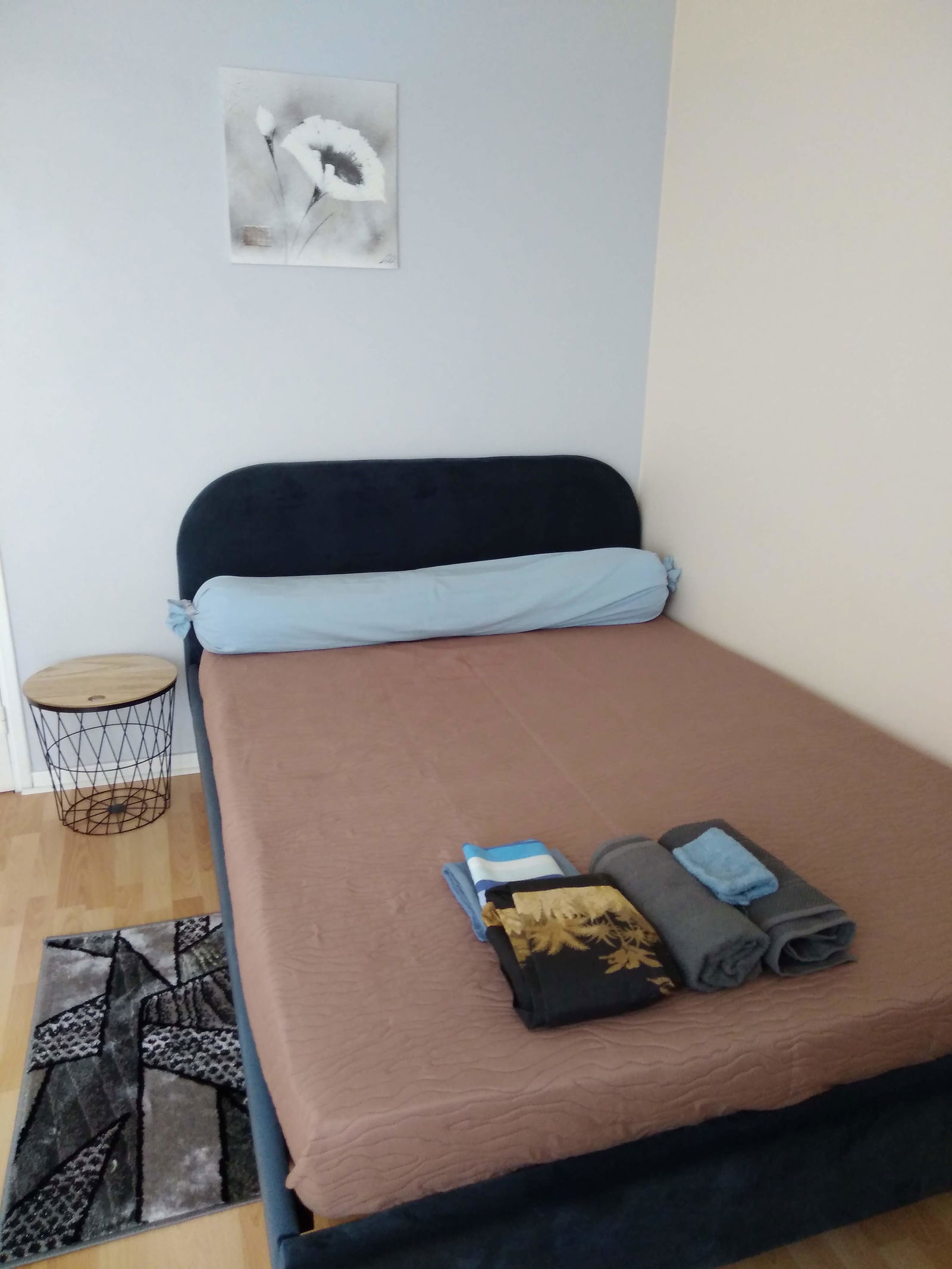 Colocation Toulouse 559548