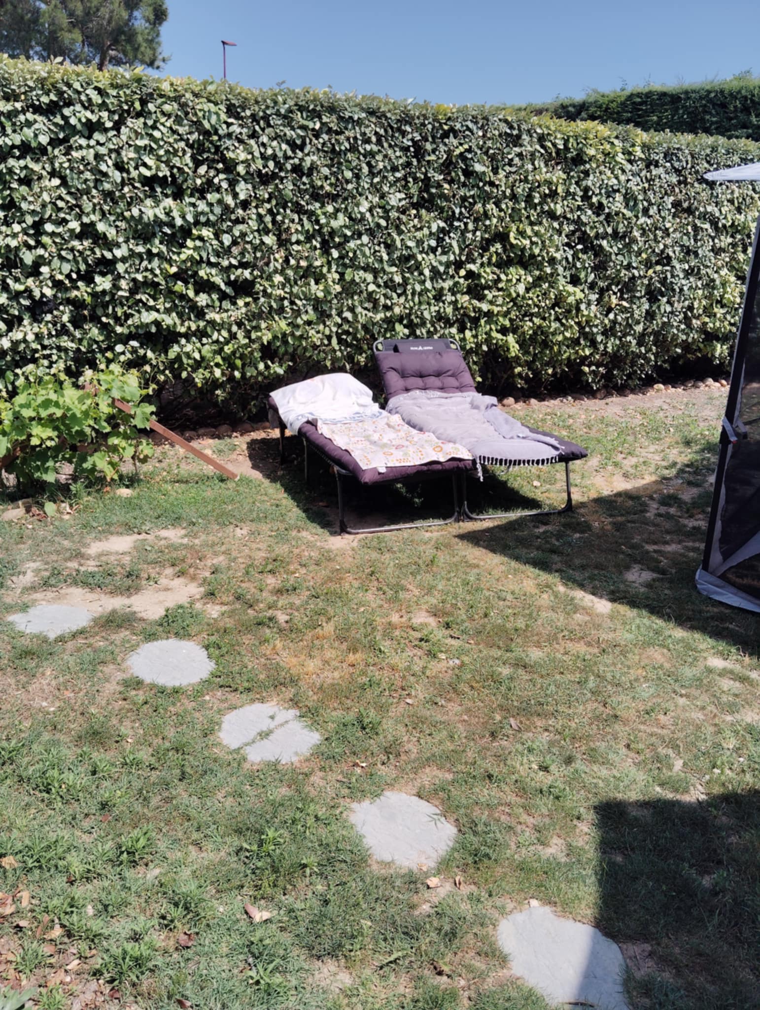 Homestay Aubignan 540041