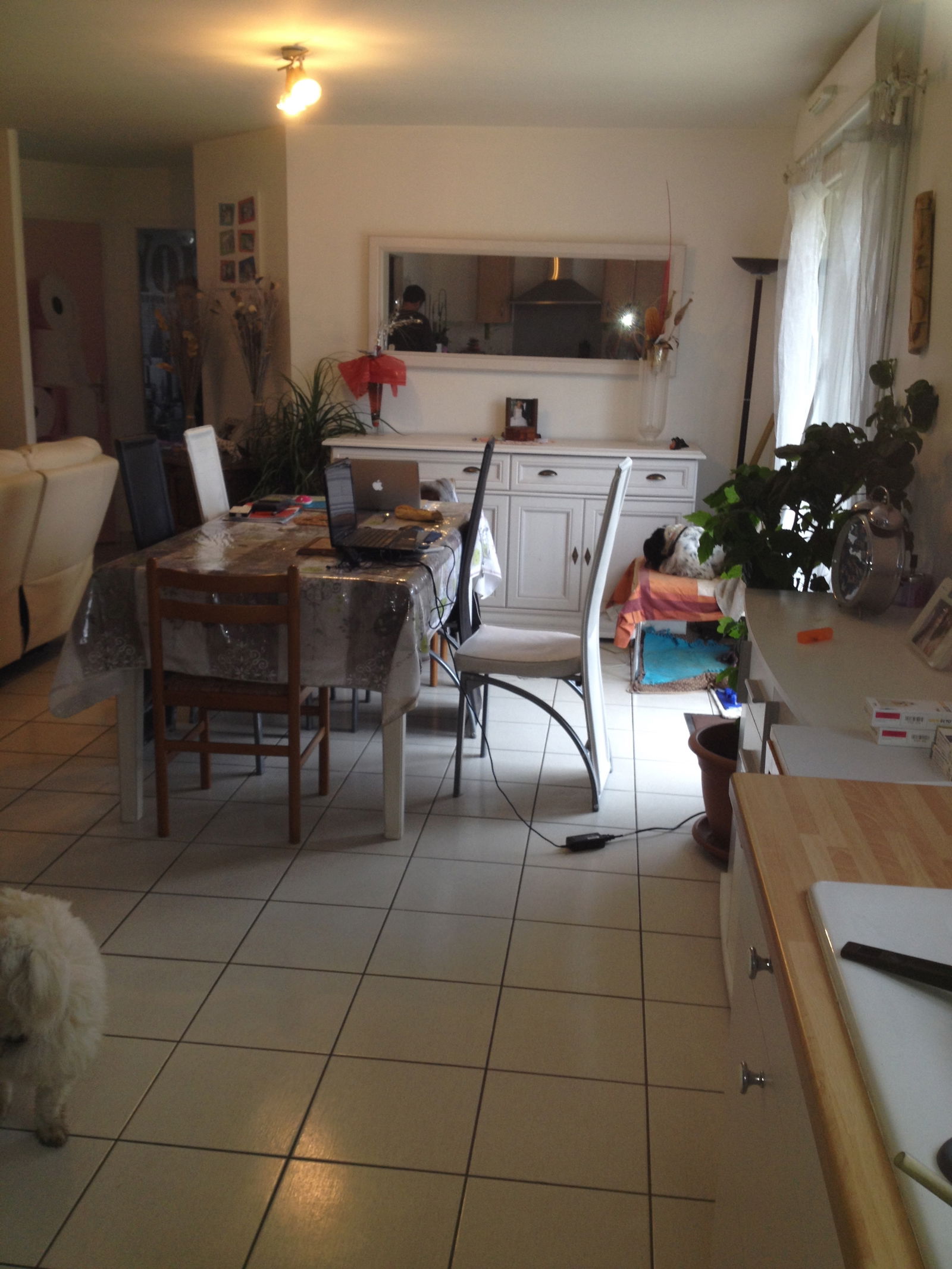 Homestay Canenx-et-Réaut 98412