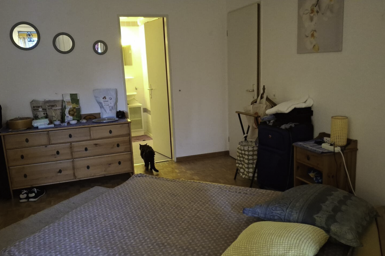 Homestay Genève 659199