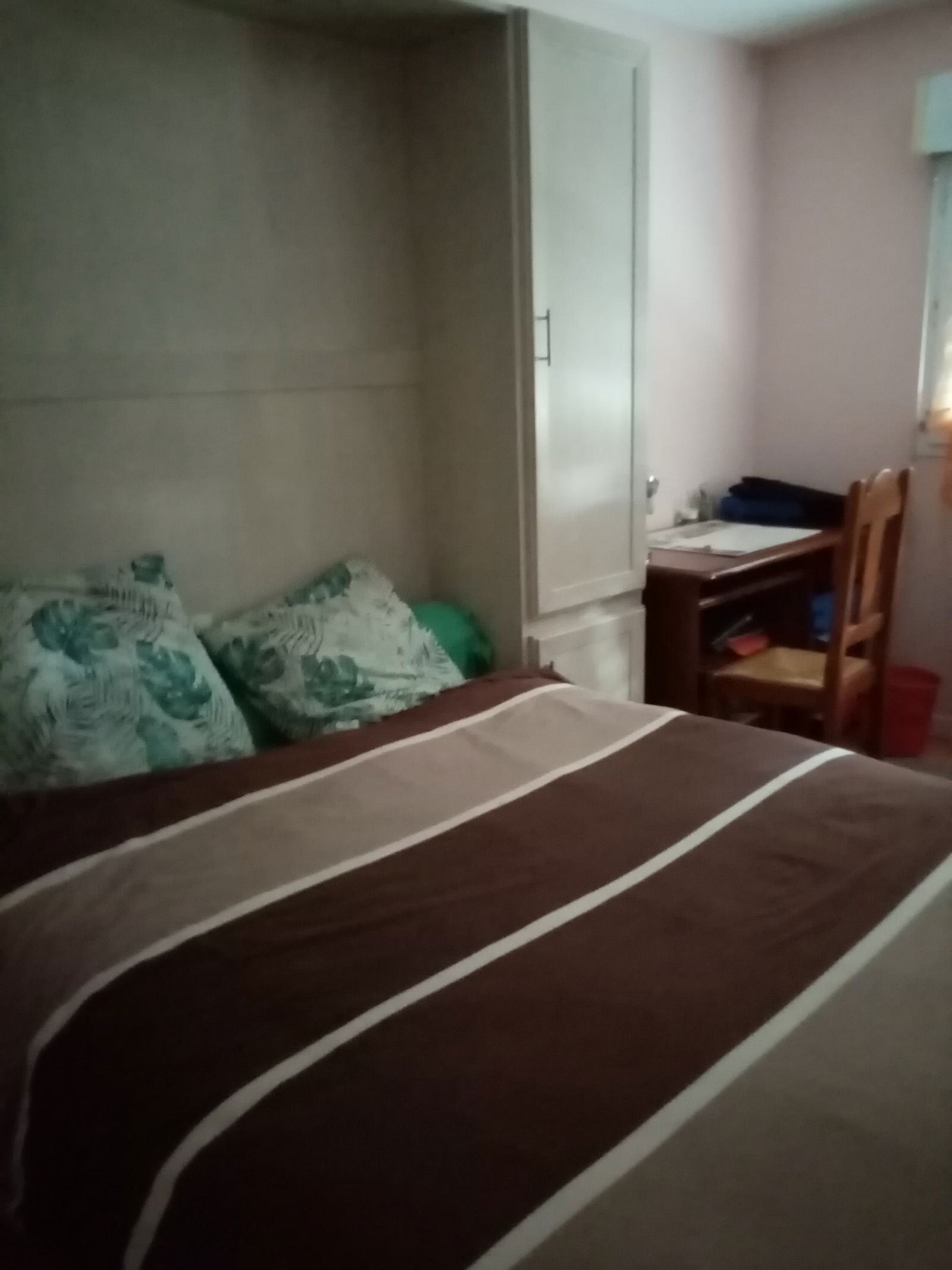 Homestay Saint-Sébastien-sur-Loire 17093