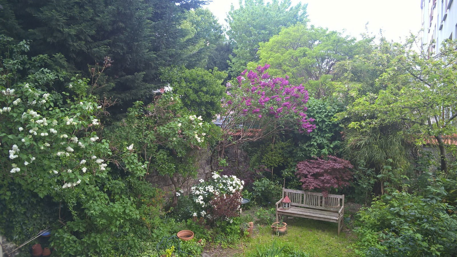 Homestay Vincennes 17464