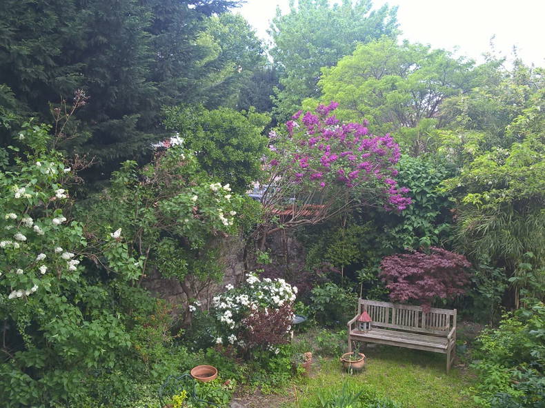 Gastfamilie Vincennes 17464-3