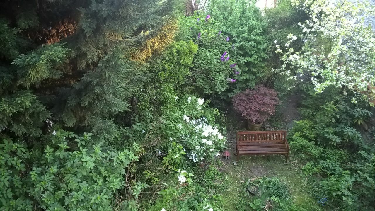 Homestay Vincennes 17464