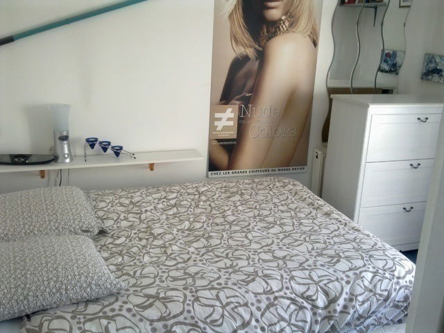 Entire Home Thionville 32952