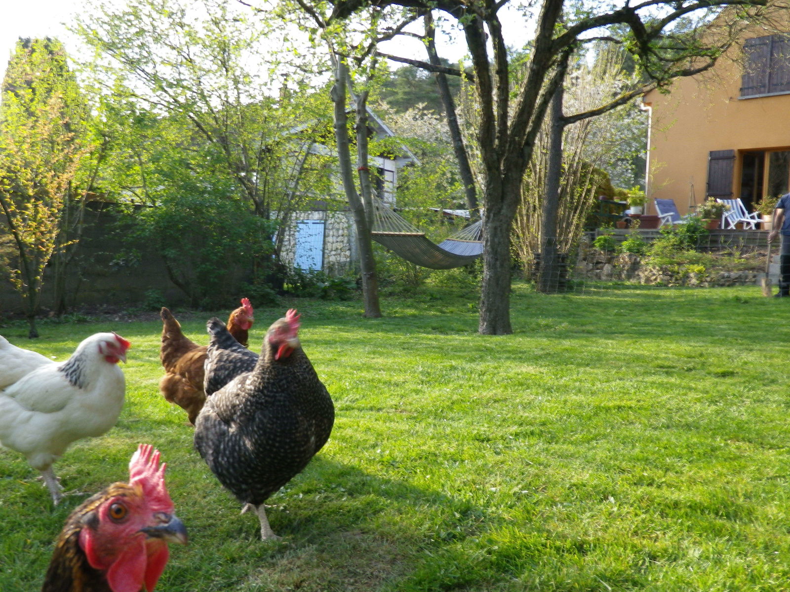 Homestay Ormoy-la-Rivière 39833