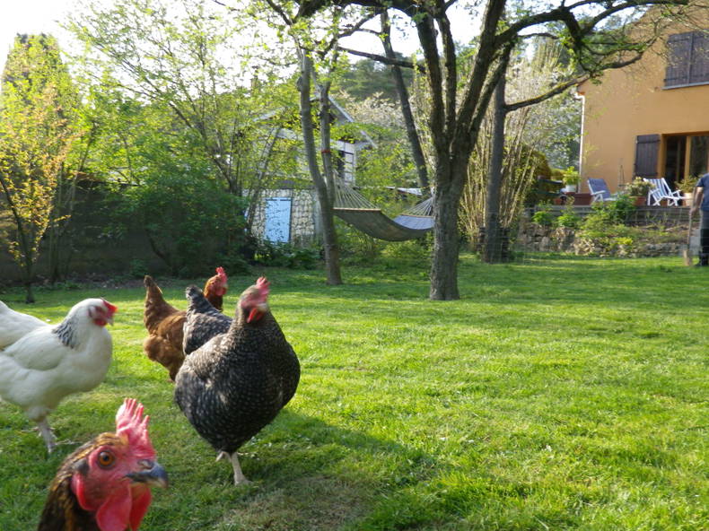 Gastfamilie Ormoy-la-Rivière 39833-4