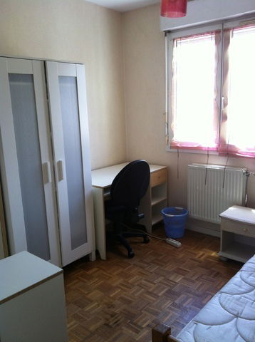 Homestay Villeurbanne 48482