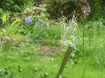 Chambre Chez L'habitant Igny 56054-5