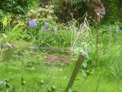 Quedarse En Casa Igny 56054-5