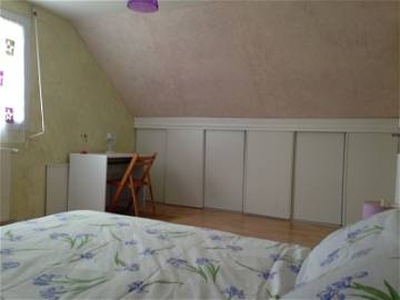 Room For Rent Pau 113356