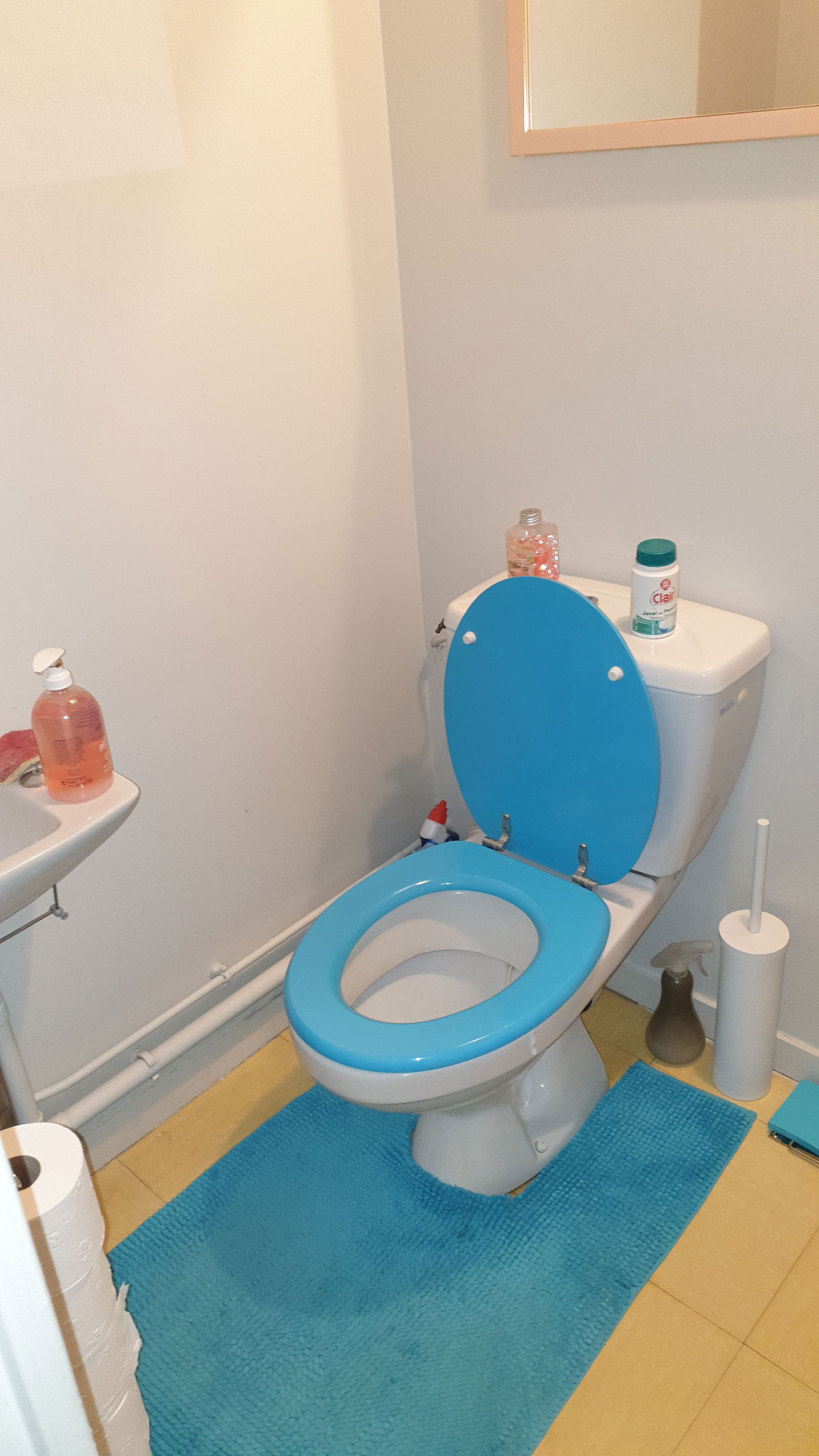 Homestay Clermont-Ferrand 94421