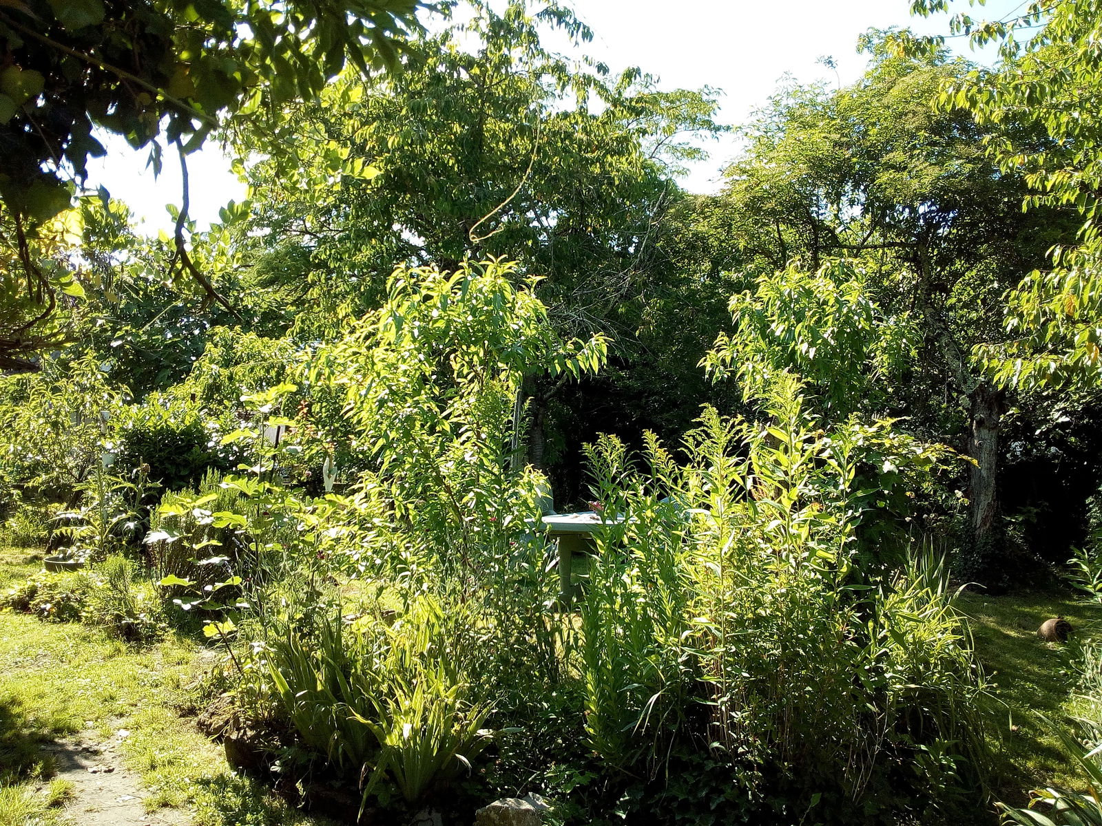 Homestay Labastide-d'Armagnac 94487