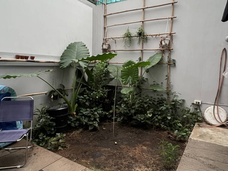 Hospedagem Em Casa De Família Hô Chi Minh-Ville 144250-3