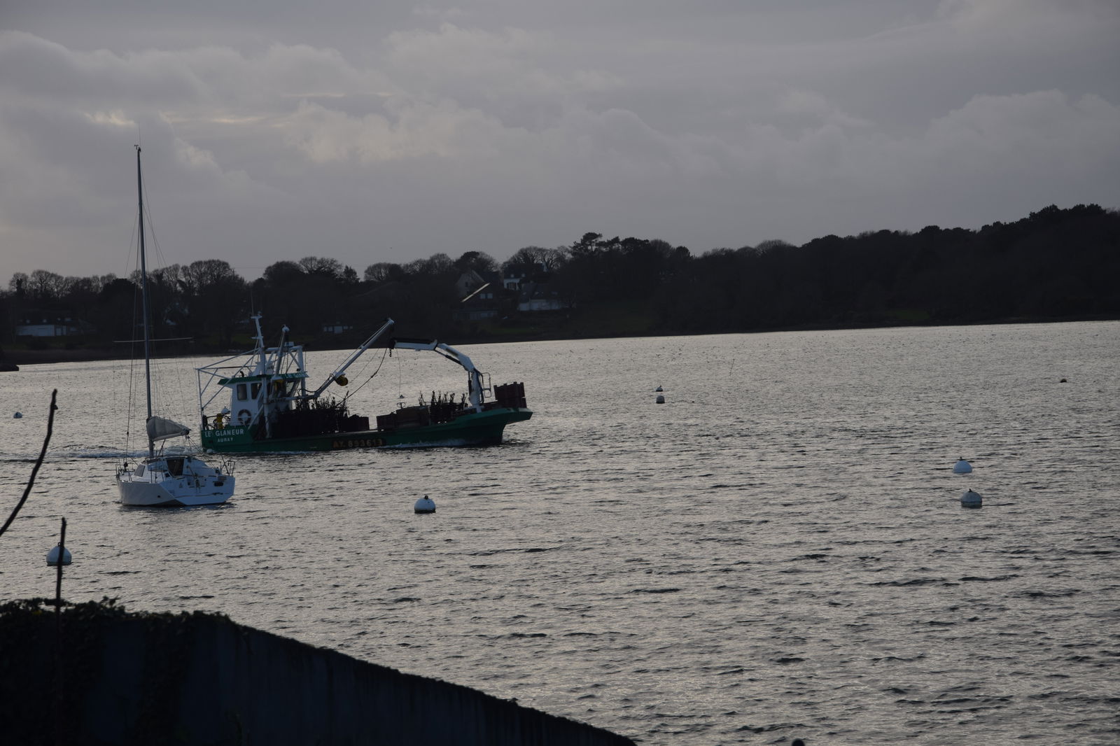 Homestay Baden 235010