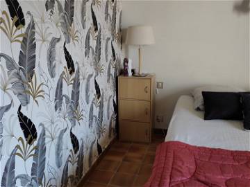 Chambre À Louer Montpellier 251598