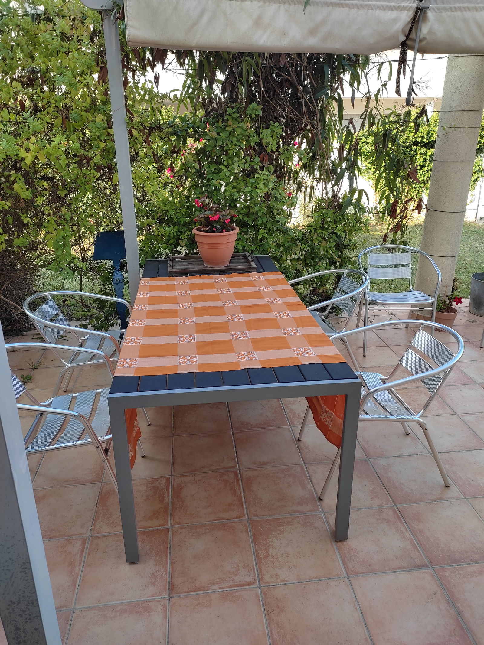 Homestay Montpellier 251598
