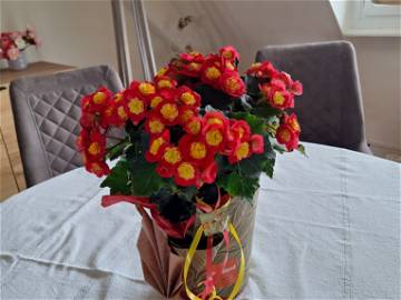 Chambre Chez L'habitant Brest 30533-8