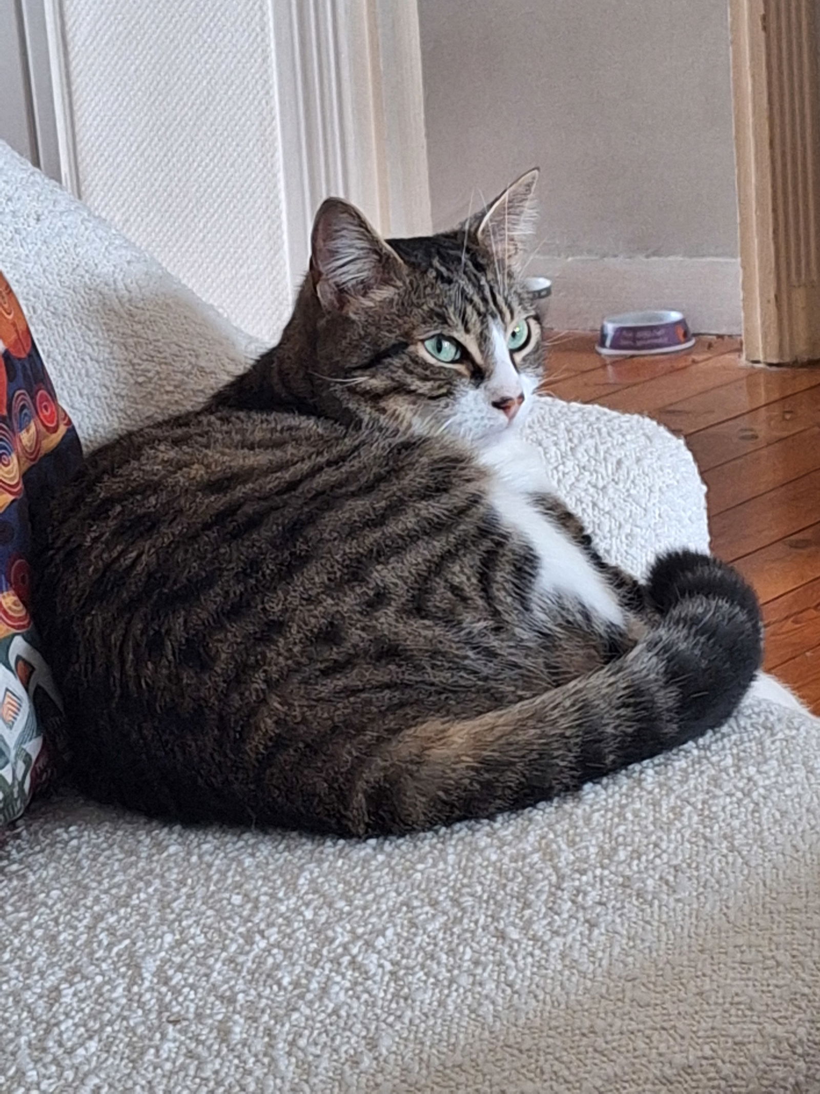 Homestay Brest 30533