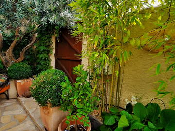 Chambre Chez L'habitant Bouc-Bel-Air 251215-5