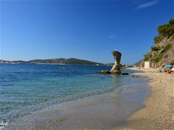 Chambre À Louer Toulon 80488