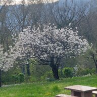 Homestay Dardagny 469310