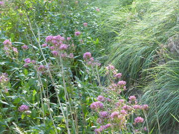 Chambre Chez L'habitant Monnetier-Mornex 26184-7