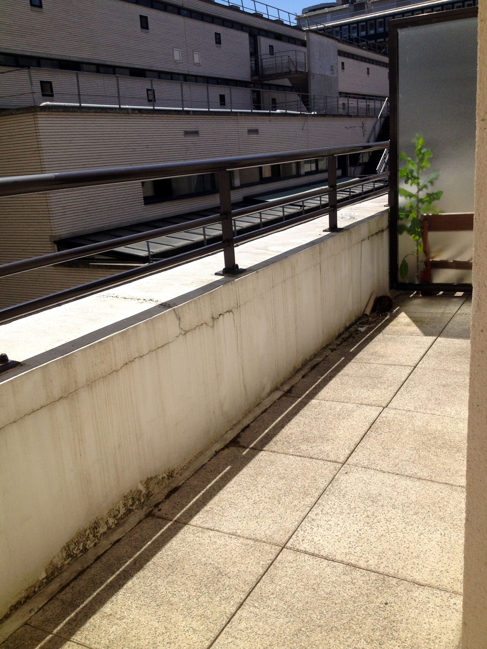 Homestay Paris 106124