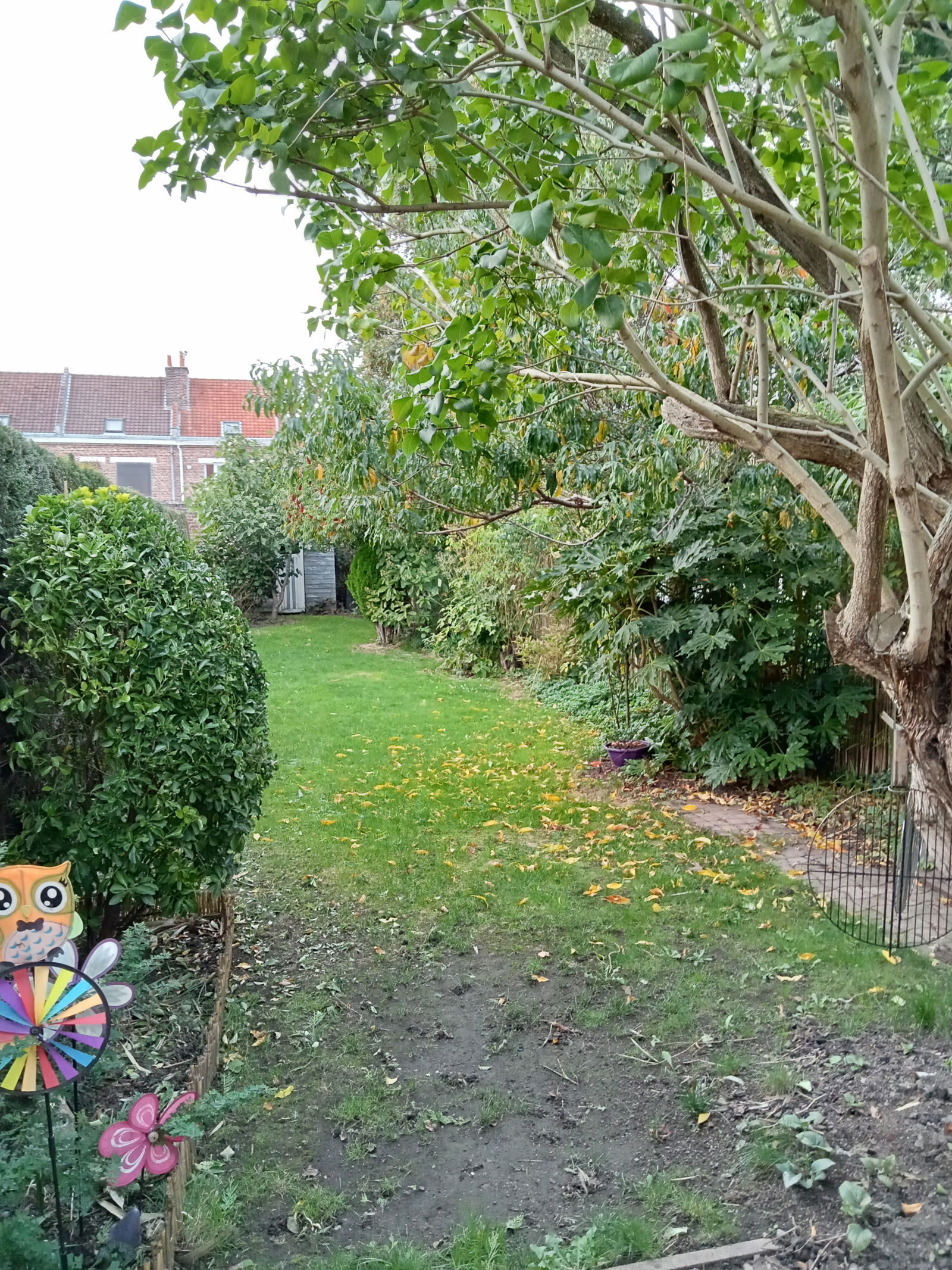 Homestay Lille 263765